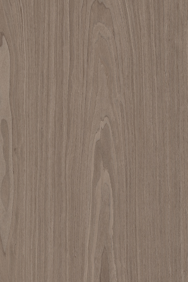 Impiallacciatura di legno ingegnerizzato Walnut Crown Cut color cioccolato intenso NOCE#1578C