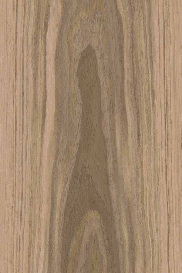 Teak Noce nera impiallacciatura in legno ingegnerizzato Crown Cut NOCE#668C