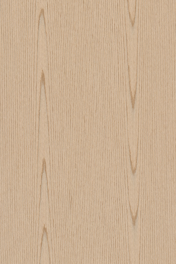 Impiallacciatura di pregiato legno Rovere Argento Crown Cut ROVERE#1796C